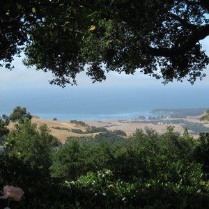 Meet your Posher, Pixie.